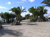 Puerto03.jpg (150040 bytes)
